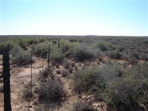 5394 ha Farm in Vosburg