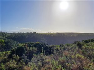 1250 m² Land available in Oubaai and surrounds