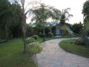 28 ha Farm in Louisvale