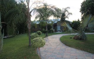 28 ha Farm in Louisvale