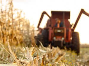 576 ha Farm in Bethlehem