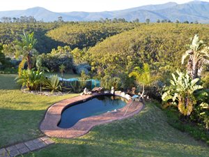 4 ha Farm in Natures Valley