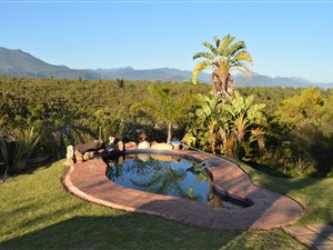 4 ha Farm in Natures Valley