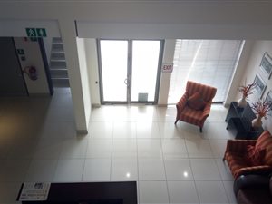 442 m² Office Space in Muckleneuk
