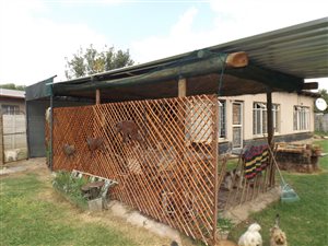 3 Bed House in Wolmer