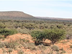 1744 m² Farm in Olifantshoek