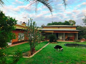 58 ha Farm in Byenespoort
