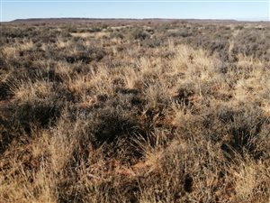 4730 ha Farm in Carnarvon