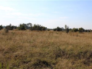 2.8 ha Land available in Wilgeboom