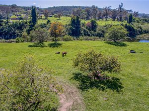 22 ha Farm in Gonubie