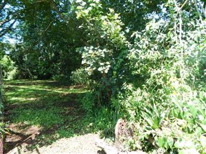 2699 m² Land available in Forest Hills