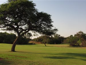 1479 m² Land available in Chroom Park