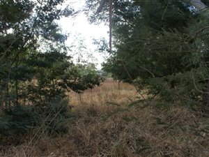 3678 m² Land available in Tijger Valley and surrounds