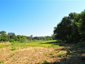 5195 m² Land available in Zandspruit Bush and Aero Estate