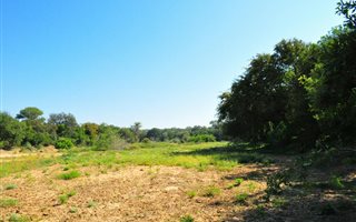 5195 m² Land available in Zandspruit Bush and Aero Estate