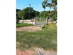 1 Bed Flat in Hillary