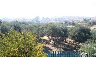 5 ha Farm in Deneysville