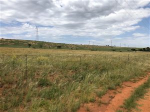 8 ha Land available in Donkerhoek