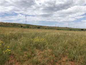 8 ha Land available in Donkerhoek