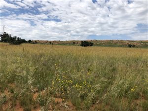 8.5 ha Land available in Donkerhoek