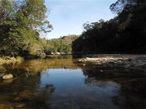 4000 ha Farm in Plettenberg Bay