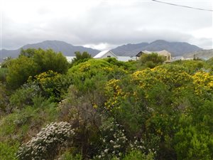 600 m² Land available in Pringle Bay