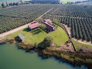 80 ha Farm in Tulbagh