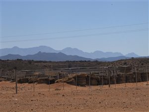 5 ha Farm in Calitzdorp