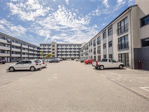 Studio apartment in Maitland