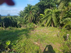 1369 m² Land available in Hibberdene