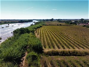 12 ha Farm in Kanoneiland