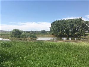 33.2 ha Farm in Magaliesburg