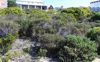 791 m² Land available in Struisbaai