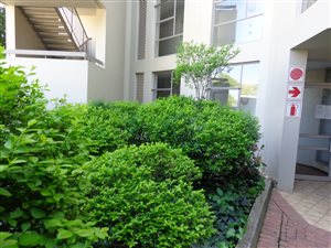 3 Bed Apartment in Sandton CBD