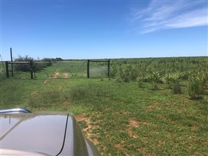 Farm in Mafikeng