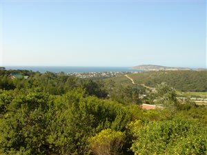 1200 m² Land available in Schoongezicht