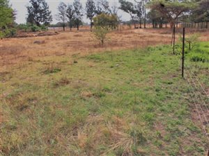 1 ha Land available in Mnandi AH