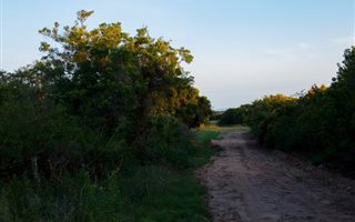1339 m² Land available in Bathurst and Surrounds