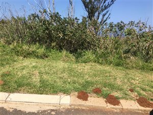 1100 m² Land available in Saiccor