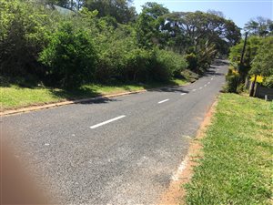 1100 m² Land available in Saiccor