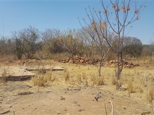 2 ha Land available in Kameeldrift East