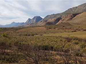 50 ha Farm in Vanwyksdorp