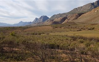 50 ha Farm in Vanwyksdorp
