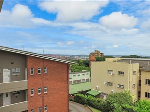Bachelor apartment in Bulwer