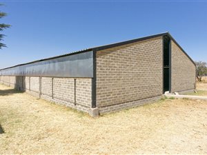 8.6 ha Farm in Vlakplaats