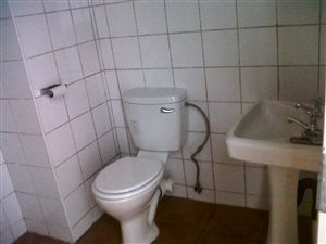 Studio apartment in Riviera