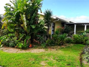 3 Bed House in Arauna