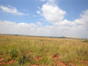 2 ha Farm in Soweto Central