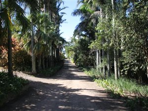 7.2 ha Farm in Shakaskraal