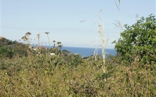1600 m² Land available in Mount Richmore Estate